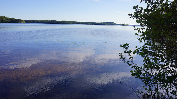 фінська, озеро, пляж, літо, літню, висока річна, yötönyö