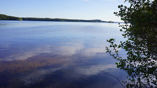 Finlandés, Lago, Playa, verano, solsticio de verano, alto verano, yötönyö