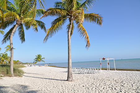 Palm puud, Beach, liiv, Holiday, päike, vee, Vaade
