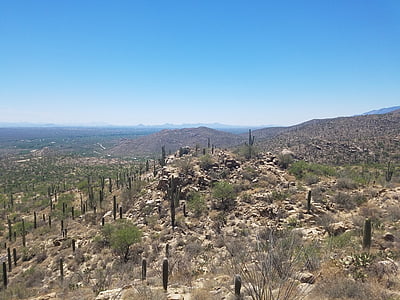 Pustynia, karnegia olbrzymia, Kaktus, Arizona, Natura, krajobraz, niebo