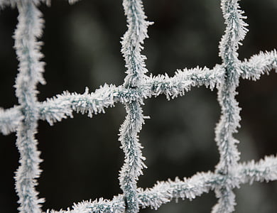 Frost, ograje, pozimi, ledeno, hladno, zamrznjeni, žične mreže