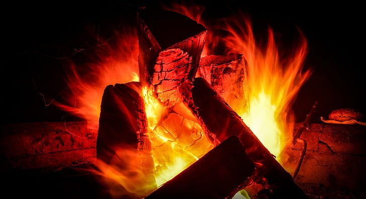 feu de camp, arbre, feu, feu - phénomène naturel, chaleur - température, flamme, Gravure