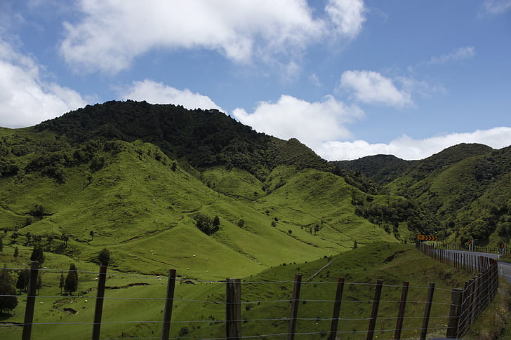 Nueva Zelanda, oveja, montañas, colinas de, prados de la, Prato, montaña