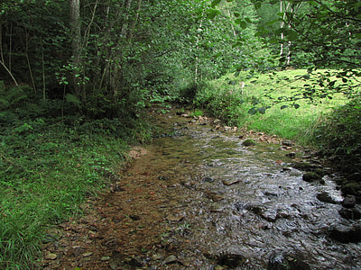 creek, nature, field