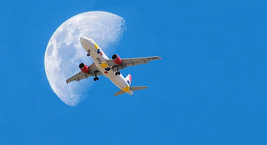 lietadlo, mesiac, CEU, modrá obloha, čajka, deň, Príroda