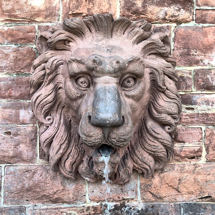 løve, springvand, vand, s, statue, figur, Lion springvand