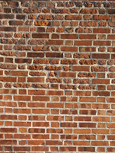brick, wall, brick texture, texture, pattern, blocks, red