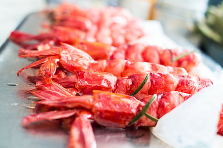 crevette rouge, Espagne, méditerranéenne
