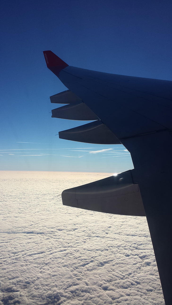 lietať, oblaky, krídlo, lietadlá, Sky