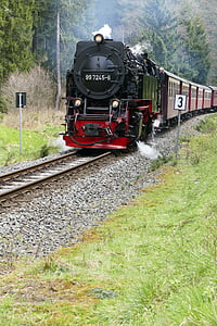 Harzquerbahn, kolejowe, wąskotorowa, lasu, Natura, Turystyka, lokomotywa