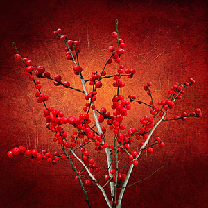 texture, background, plant, berries, bush, red, branches