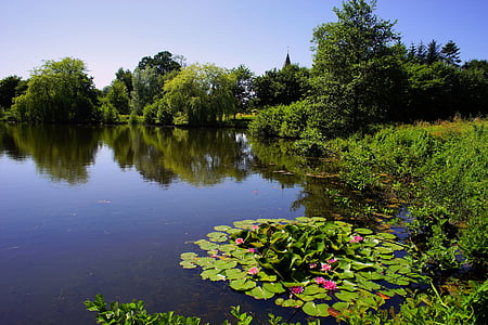 lake, trees, water lilies, idyllic, sky, mood, rest
