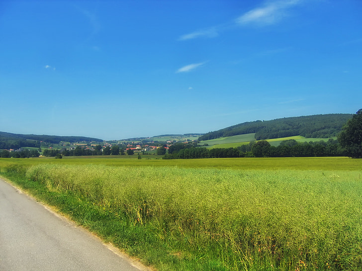 Німеччина, поле, рослини, трава, небо, хмари, дорога