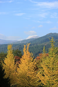 Fukushima, Azuma olahraga park, azumayama, daun musim gugur