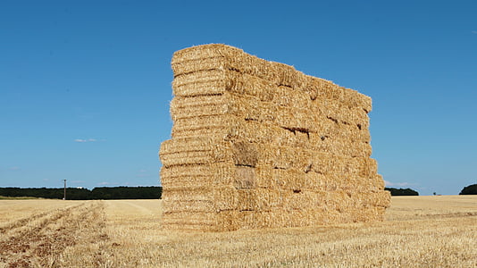 hay, forage, balls, boots, pre, bale of hay, stacking