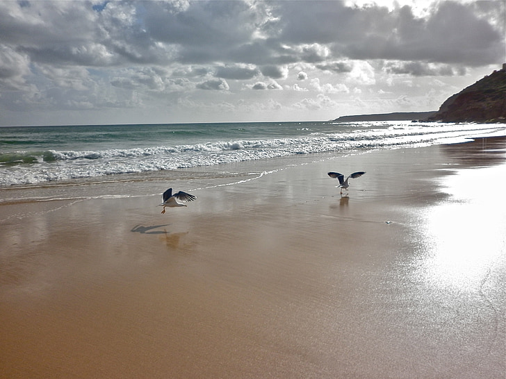 Meer, Strand, Sand