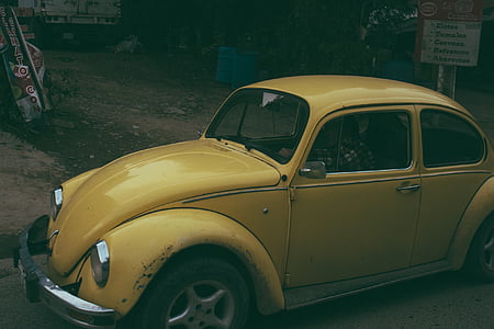 beetle, car, classic, driving, person, vehicle, volkswagen