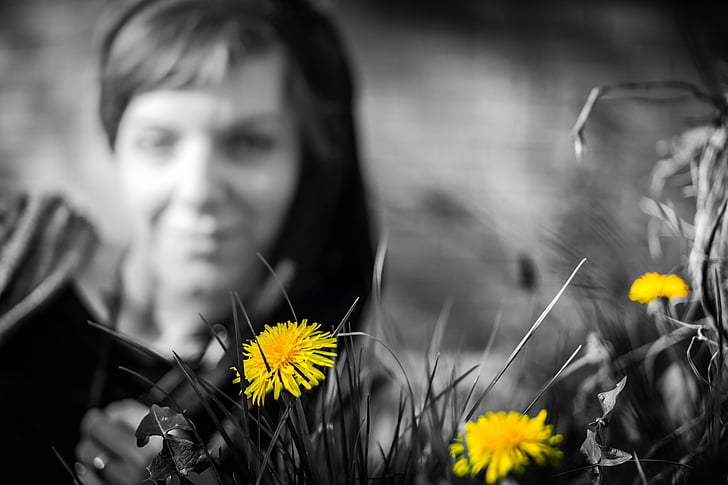 dandelion, yellow, woman, flower, view, to watch, look at