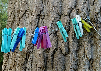 linha de roupa, suportes de lavagem, árvore, casca, jardim