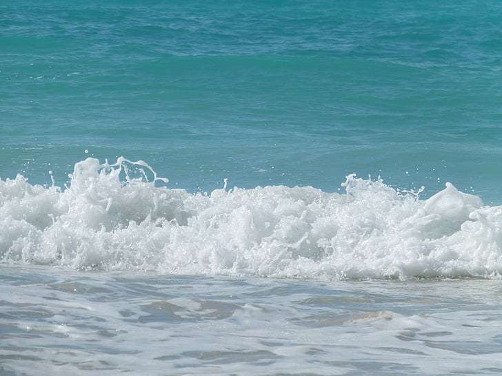 vlna, Já?, modrá, oceán, voda, vlny oceánu, vlny oceánu