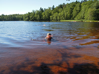 vara, fată, înotător, înot, om, verde, zona rurală
