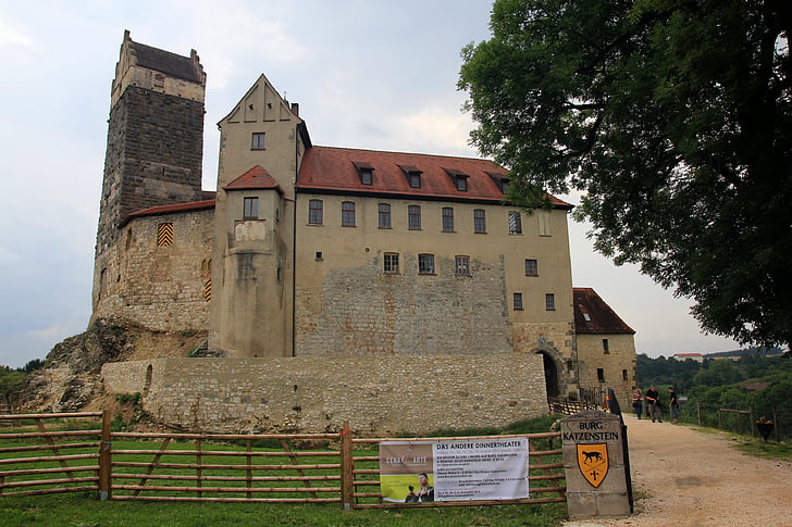 Burg katzenstein, Kasteel, Middeleeuwen, wapenschild, Oberdischingen, Katzenstein, Heidenheim, Duitsland