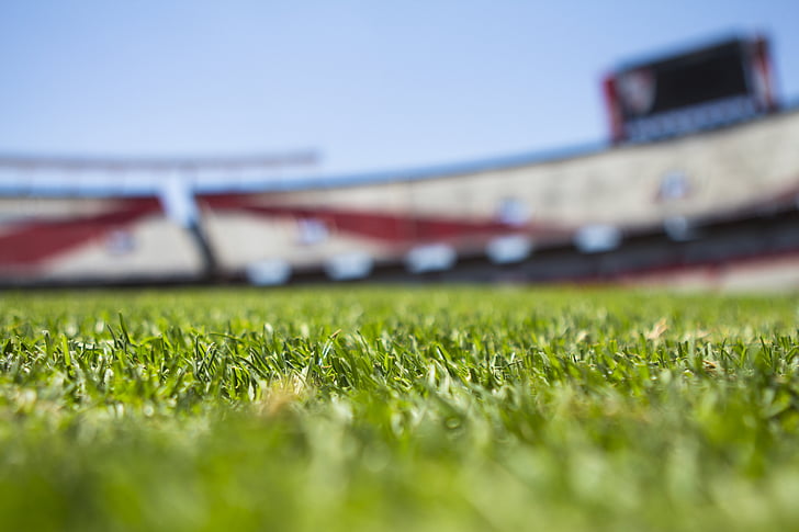 Free photo: field, grass, green, morning, soccer, stadium - Hippopx