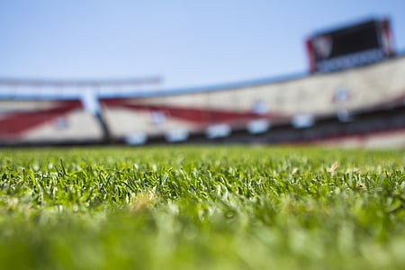 polje, trava, zelena, jutro, nogomet, stadion
