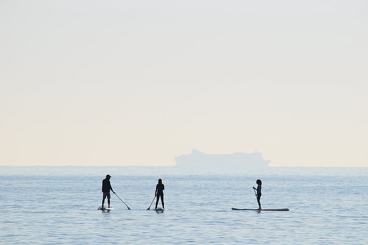 실루엣, 사람, 서 있는, 서핑 보드, 주간, 바다, 자연