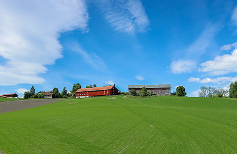 el paisatge, vistes, cel blau, pastures, Noruega, l'Europa rural, Oslo