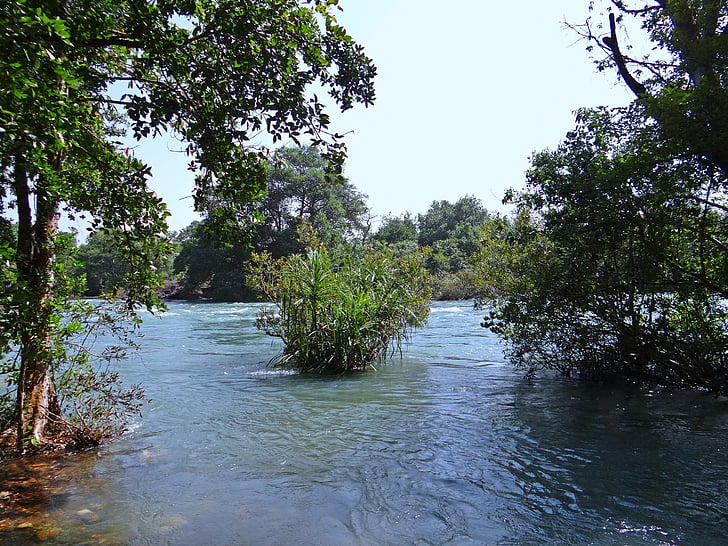 rivier, Kali, water, stroom, landschap, West-ghats, dandeli