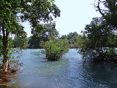 river, kali, water, flow, scenery, western ghats, dandeli