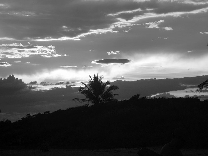 posta de sol, arbres de coco, mar de Beira, platja