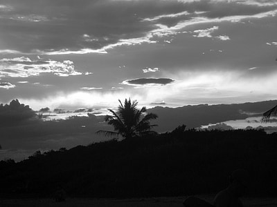 puesta de sol, árboles de coco, mar de Beira, Playa