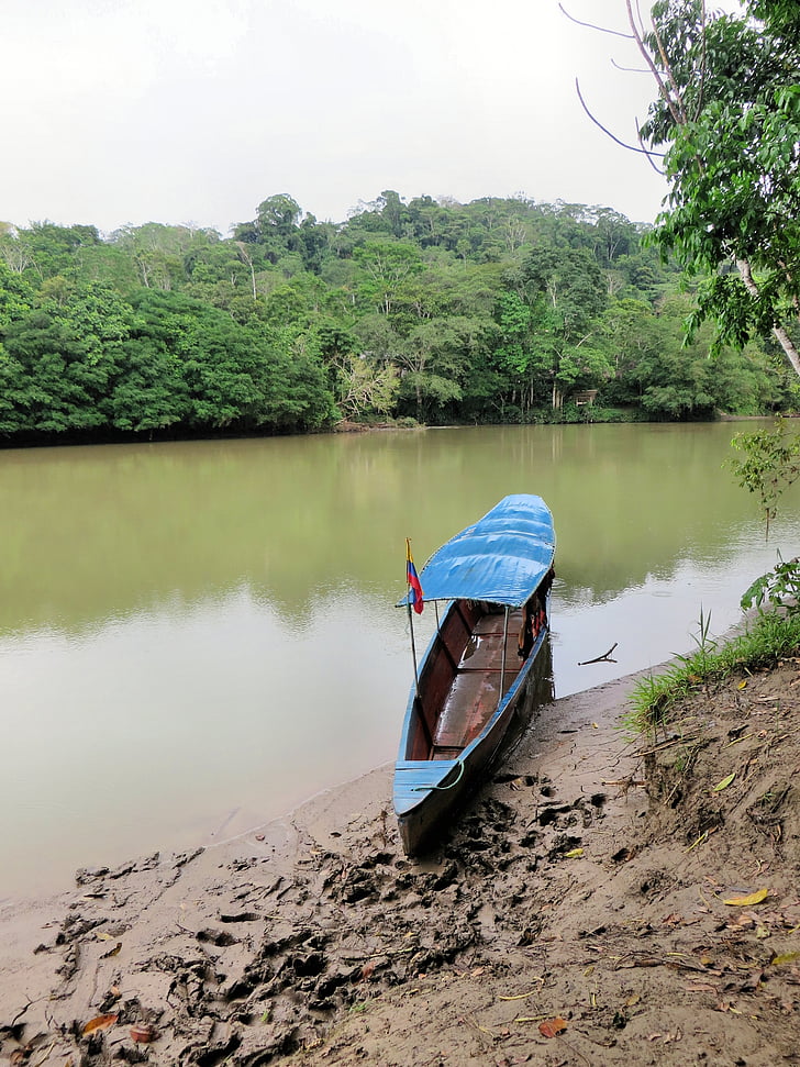 canoe, amazonie, Rio-napo