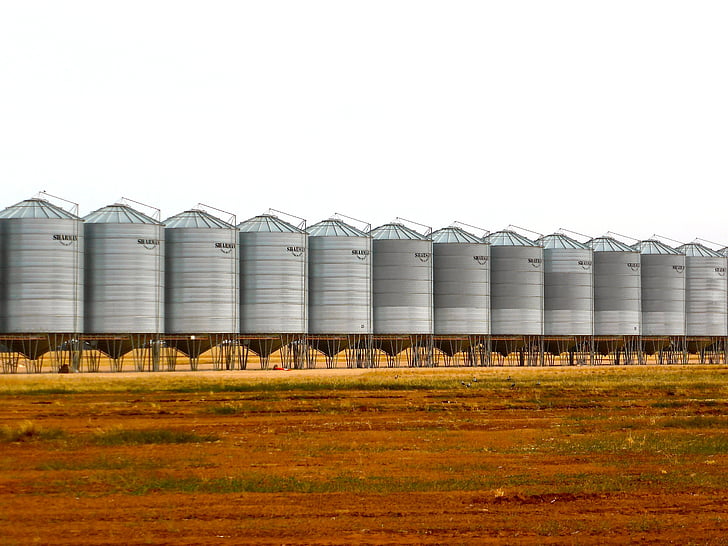 silo, stockage du blé, blé, stockage, moisson, Agriculture, grain