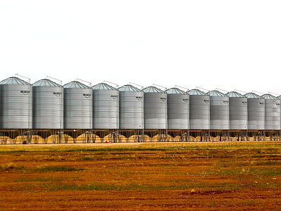 silo, lúa mì lí, lúa mì, lưu trữ, thu hoạch, nông nghiệp, ngũ cốc