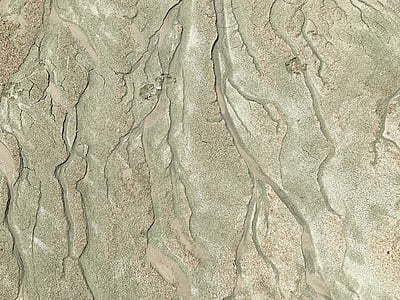 Sand, grenar, rankor, alger, stora Saltsjön, Imprint, mönster