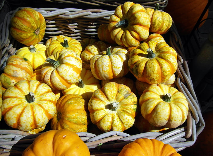 pumpkin, gourd, yellow, autumn decoration, autumn, decoration, basket