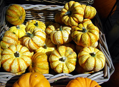abóbora, cabaça, amarelo, decoração de outono, Outono, decoração, cesta