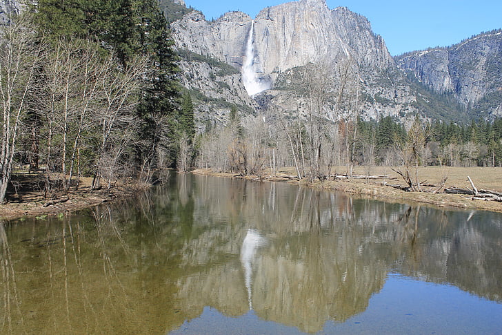 El capitan, Yosemite, strom, parku, Kalifornie, Národní, krajina
