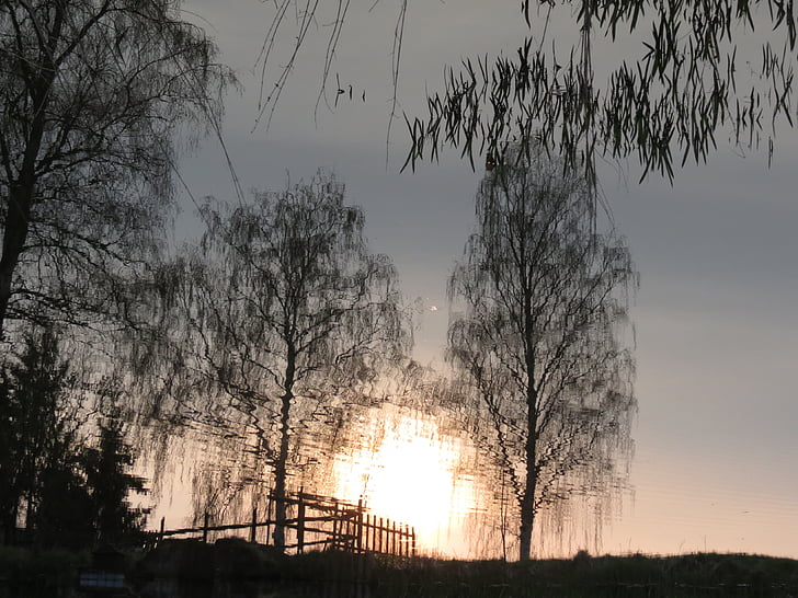 reflexie, stromy, západ slnka, vody, Príroda