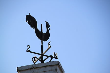 weather vane, hahn, turn, wind direction, show, tower tap wind direction indicator, roof