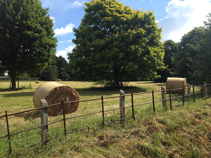 zona rurală, Anglia, câmpuri, baloturi de fân, vara, copaci, cer albastru