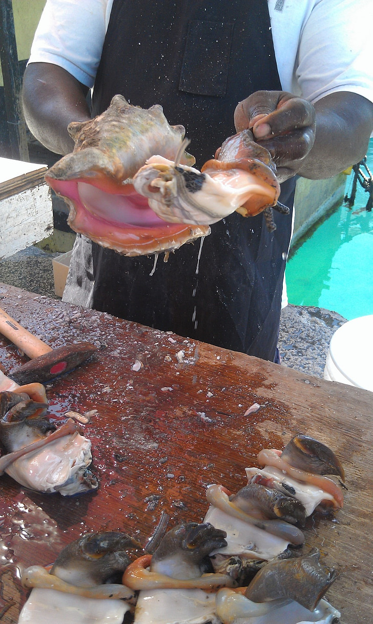 shell, markt, crustacean, vlees, schaal-en schelpdieren, RAW, Marine