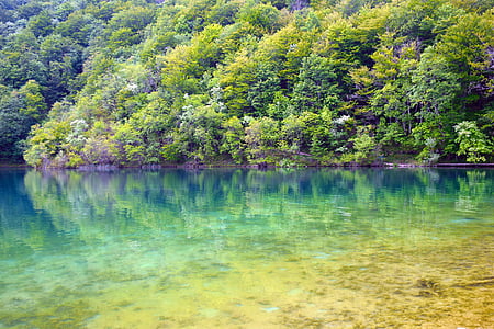 Parco nazionale di Plitvice, cascata, acqua, verde, Croazia, Plitvice, paesaggio