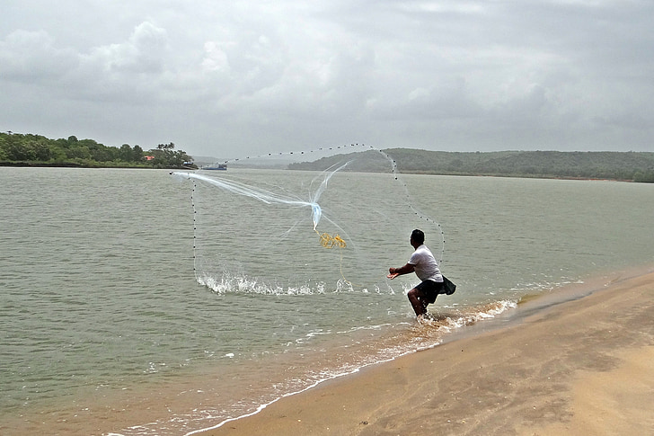 fiske, Cast-net, Terekhol floden, mynning, mun, Arabiska havet, Indien