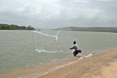 fiskeri, Cast-net, Terekhol floden, udmunding, munden, Arabiske Hav, Indien