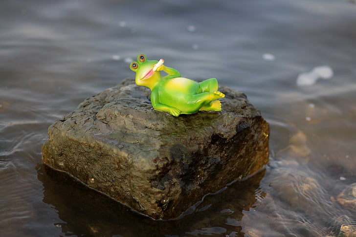 frog, water, lazy, green, cigarette