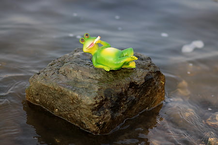 青蛙, 水, 懒, 绿色, 香烟